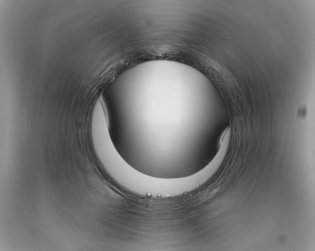 X0000091520558200709141417