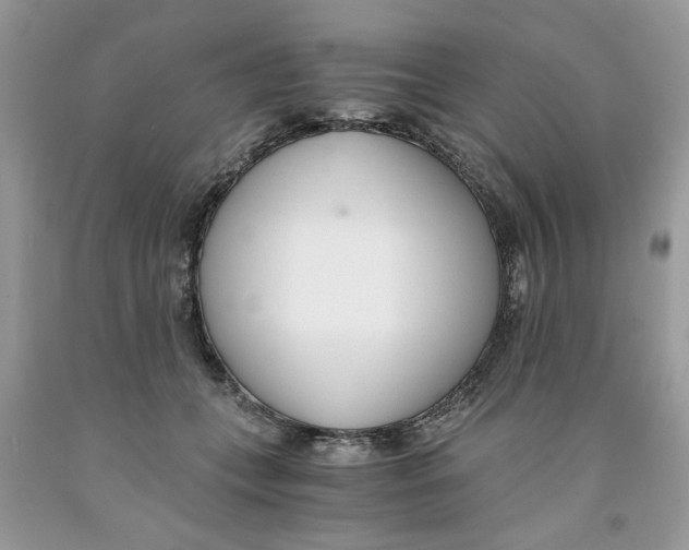 X0000091520559200709141417