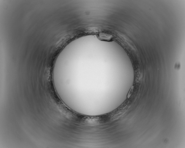 X0000091520560200709141417