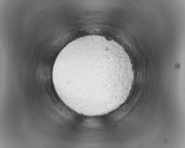 X0000091520561200709141417