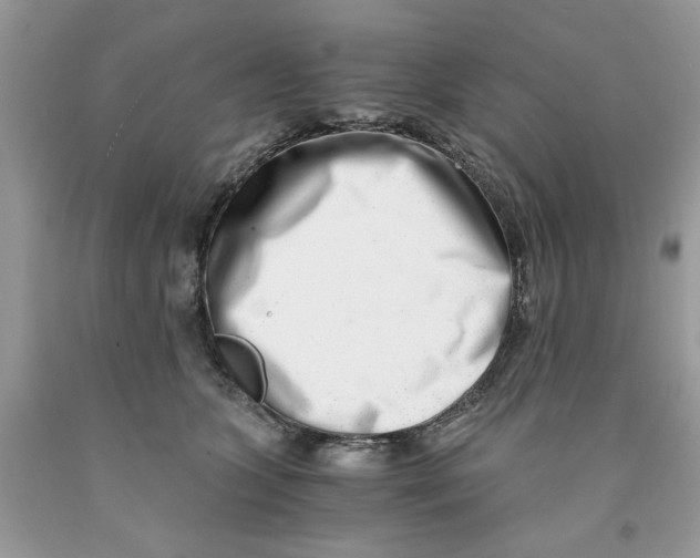 X0000091520563200709141417