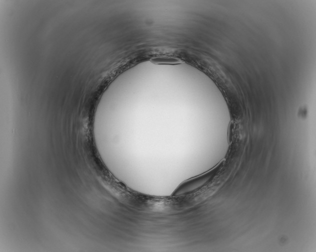 X0000091520564200709141417