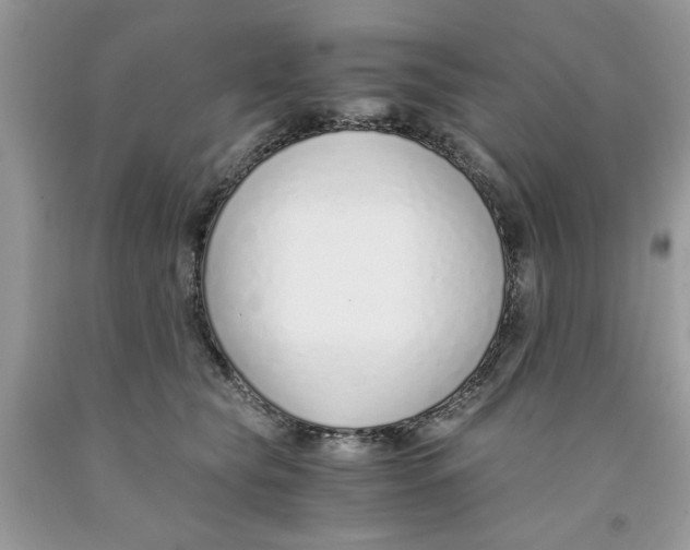 X0000091520565200709141417