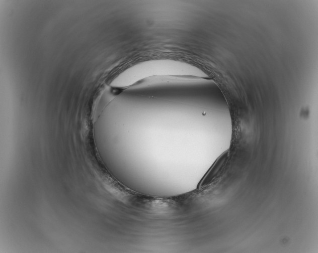 X0000091520566200709141417