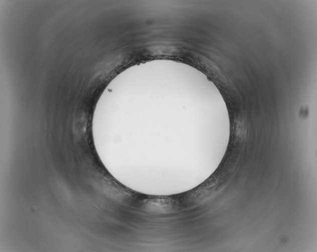 X0000091520567200709141417