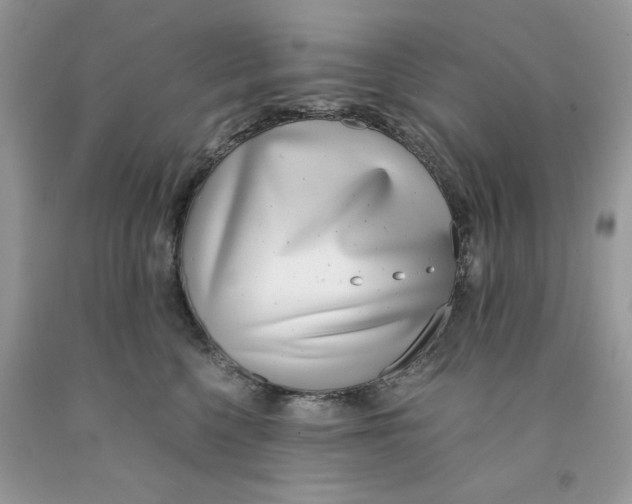 X0000091520568200709141417