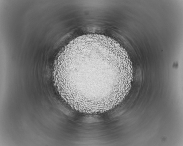 X0000091520569200709141417