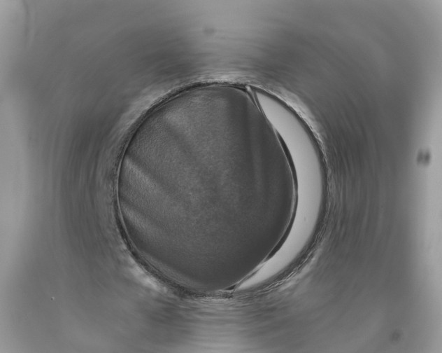 X0000091520577200709141417