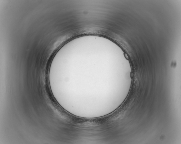 X0000091520578200709141417