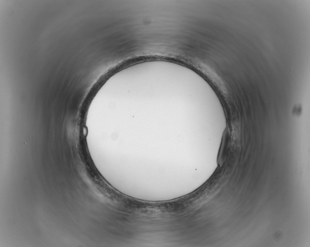 X0000091520580200709141417