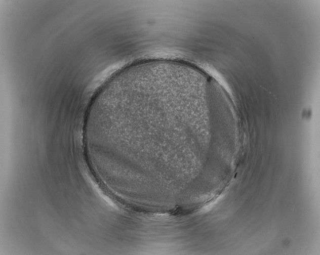 X0000091520581200709141417