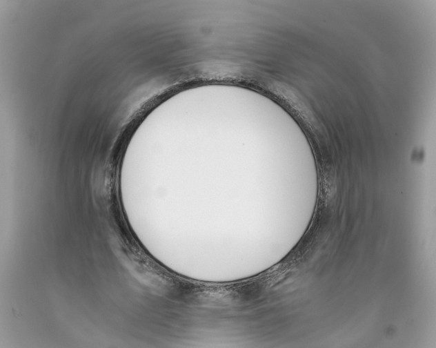 X0000091520583200709141417