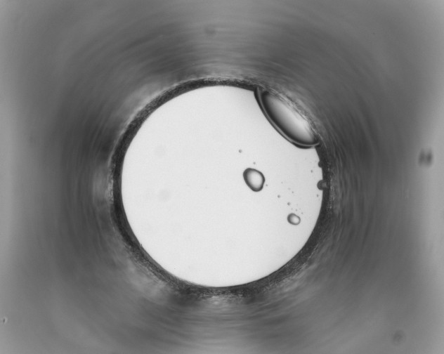 X0000091520584200709141417