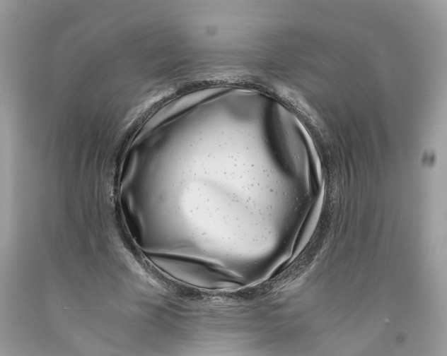 X0000091520585200709141416