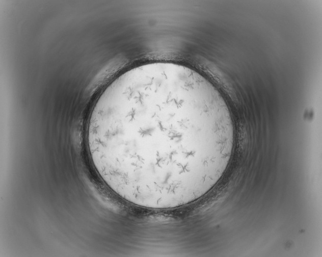 X0000091520586200709141416