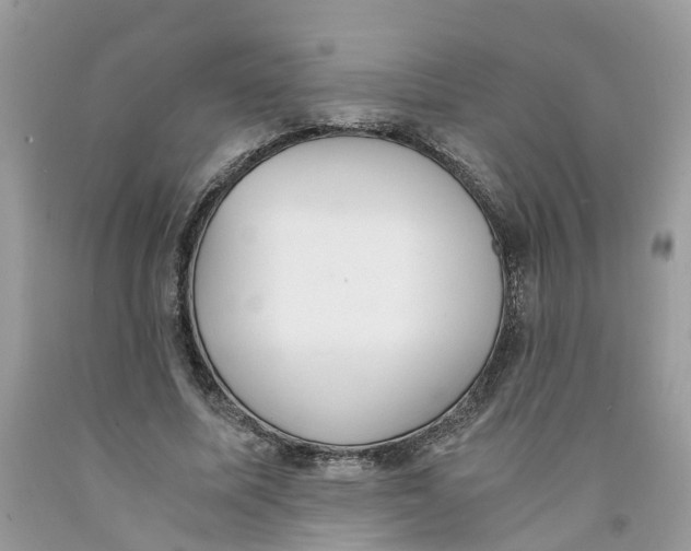 X0000091520587200709141416