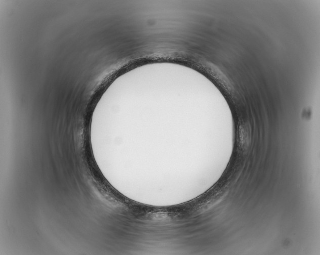 X0000091520588200709141416