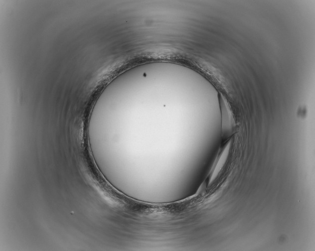 X0000091520589200709141416