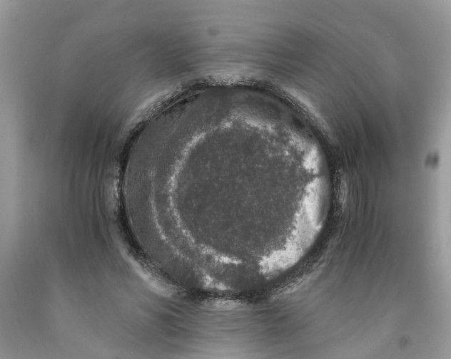 X0000091520590200709141416