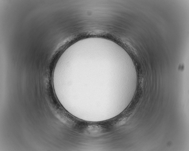 X0000091520591200709141416