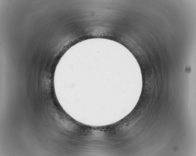 X0000091520592200709141416