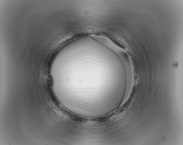 X0000091520593200709141416