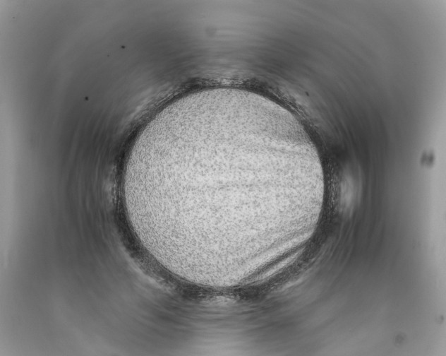 X0000091520594200709141416