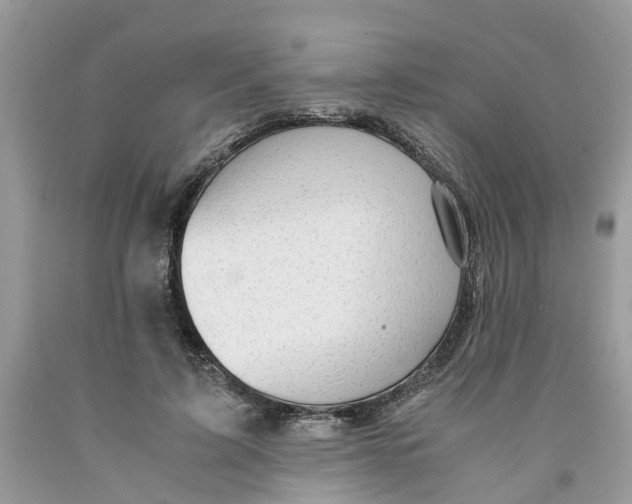 X0000091520595200709141416