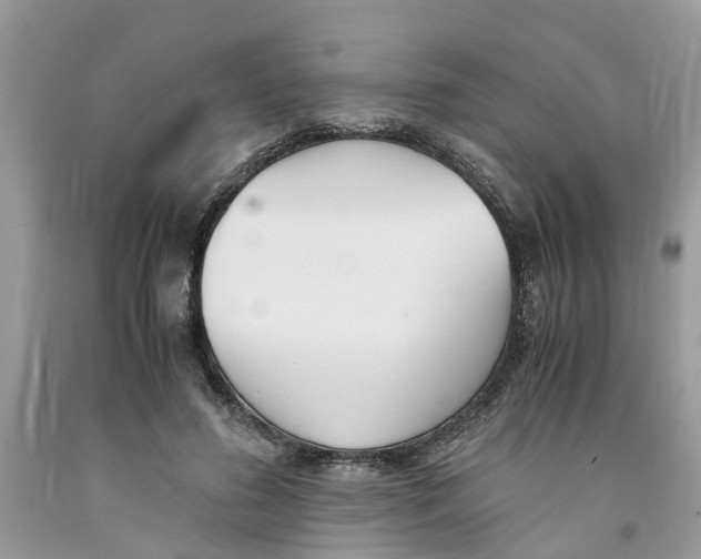 X0000091520596200709141416