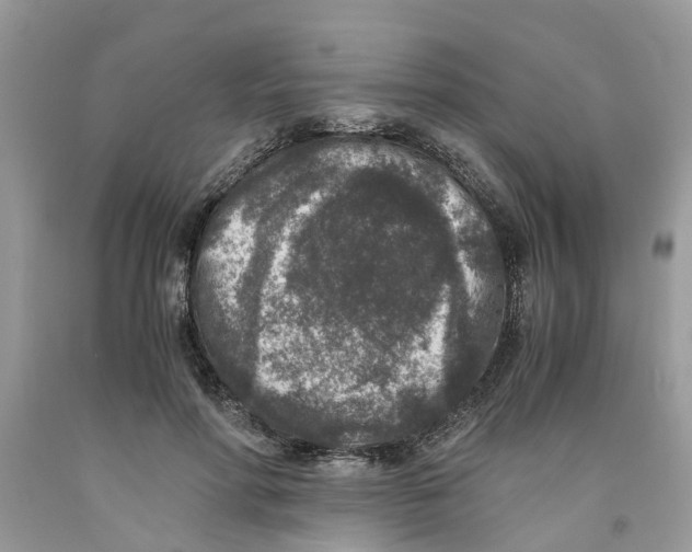 X0000091520598200709141416