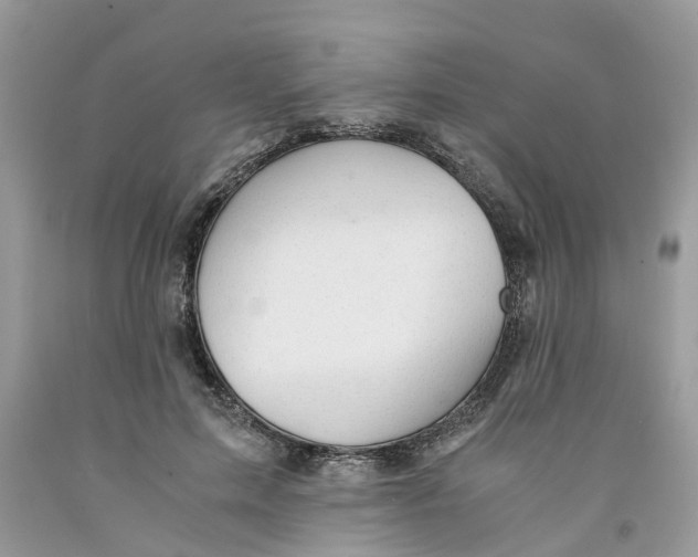 X0000091520599200709141416