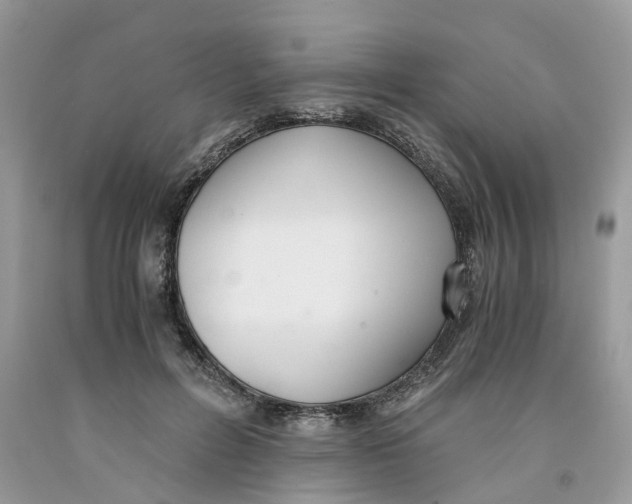 X0000091520600200709141416