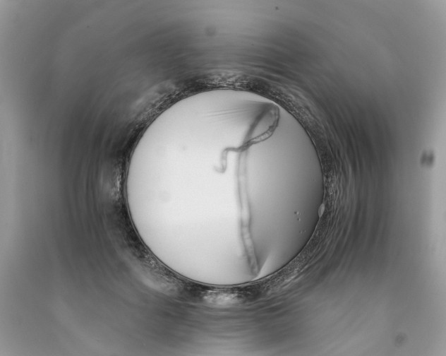 X0000091520602200709141416