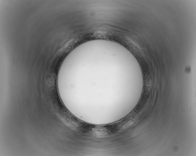 X0000091520603200709141416