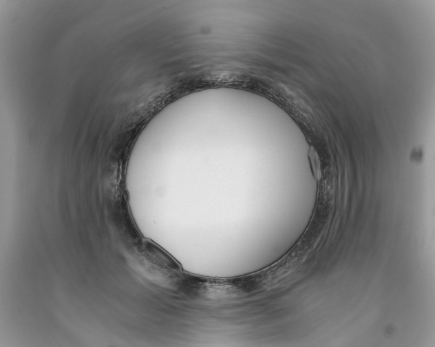 X0000091520605200709141416