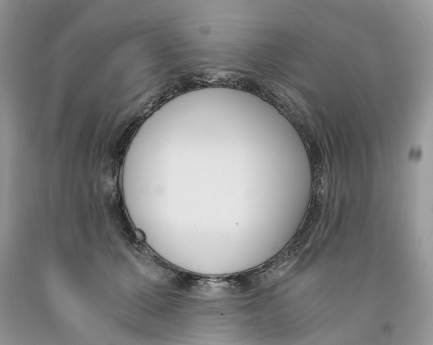 X0000091520607200709141416