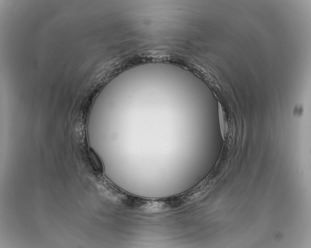 X0000091520609200709141416