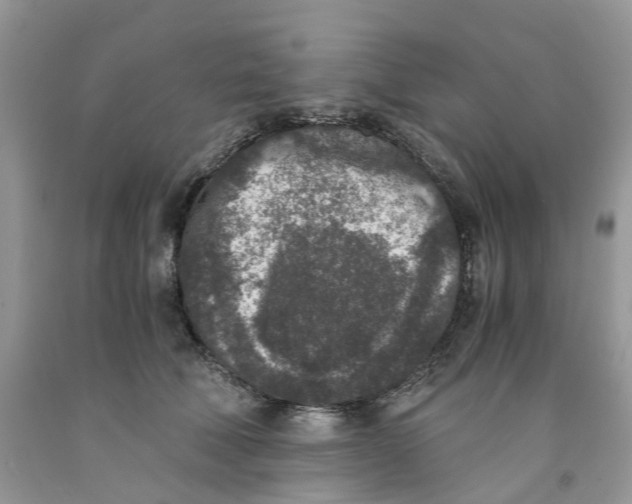 X0000091520610200709141416