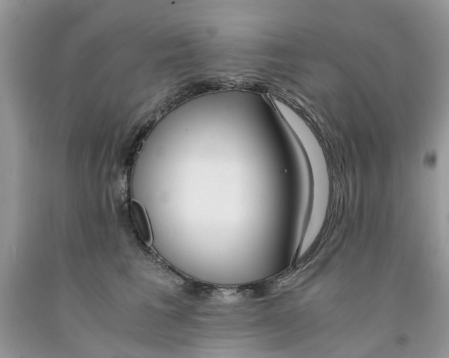 X0000091520613200709141416