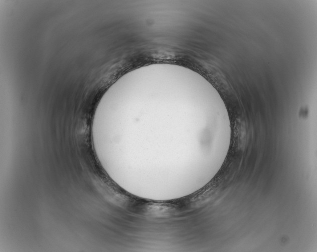 X0000091520614200709141416