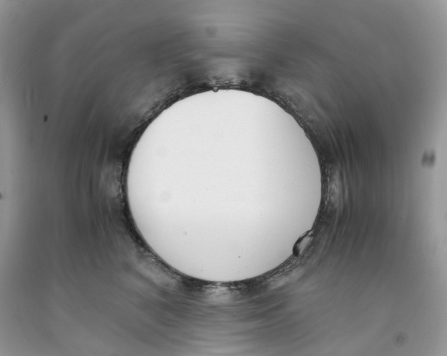 X0000091520616200709141416