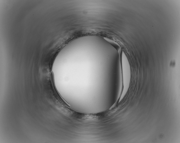 X0000091520617200709141416