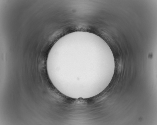 X0000091520619200709141416