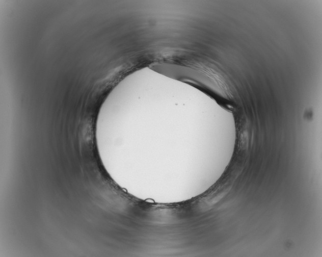 X0000091520620200709141416