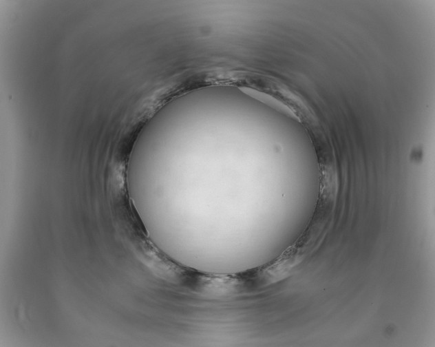 X0000091520621200709141416