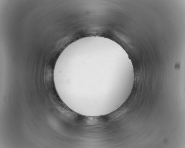 X0000091520623200709141416