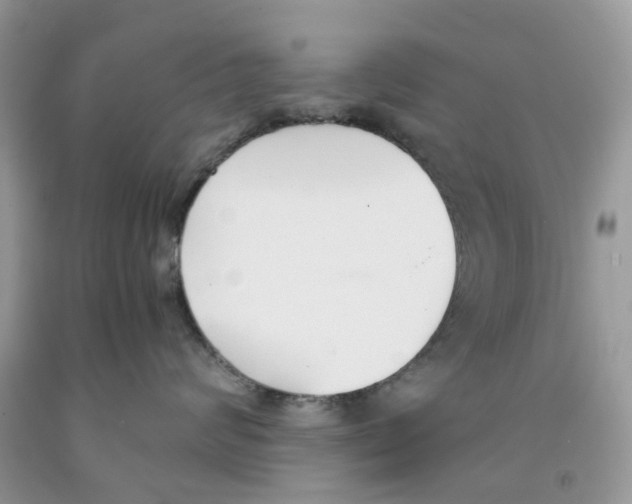 X0000091520624200709141416