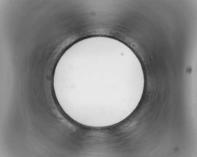 X0000091520625200709141415