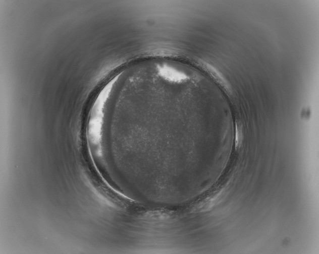 X0000091520627200709141415