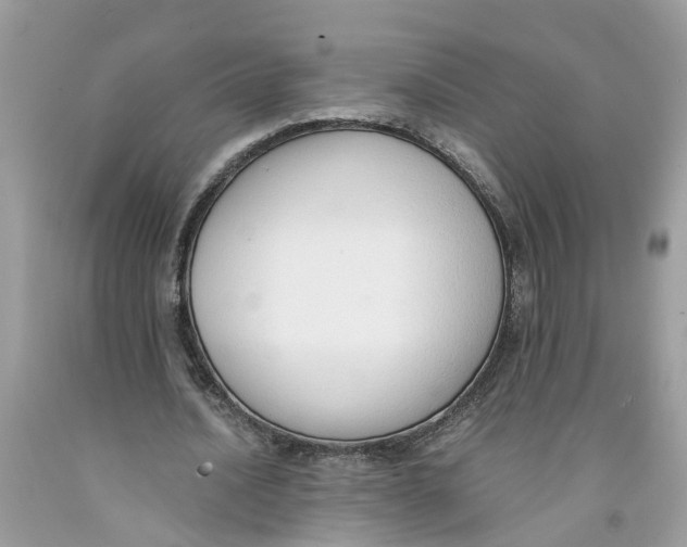 X0000091520628200709141415